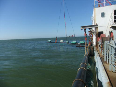 膨胀弯安装 膨胀弯(wān)安装