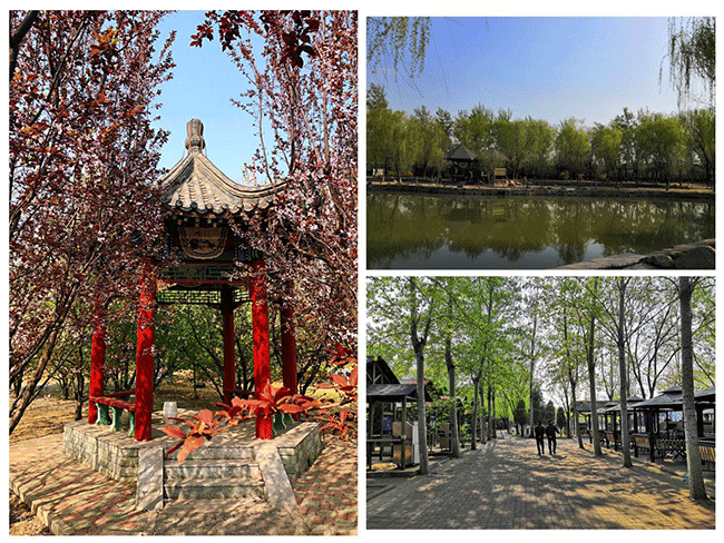 北國江南——楊柳青莊園之旅