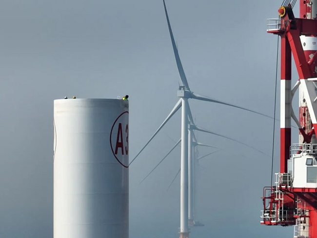全國首（shǒu）個海上風電與（yǔ）海洋牧場融合發展研究試驗項目首批機組並（bìng）網發電