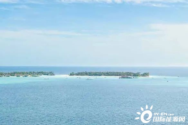 融合海洋牧場，海上風電發展新途徑