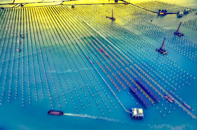 海上光伏產業,能盈利嗎? 海上(shàng)光伏(fú)產業,能盈利嗎?