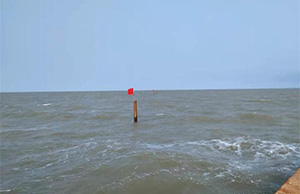 埕海1-1平台海管海纜鋪設項目開工啦（lā）！