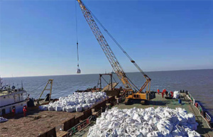 月東油田海（hǎi）底管道懸空裸露治理工（gōng）程順利完工