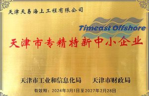 喜報丨天（tiān）易海工榮（róng）獲“天津市專精特新中小企業（yè）”認定