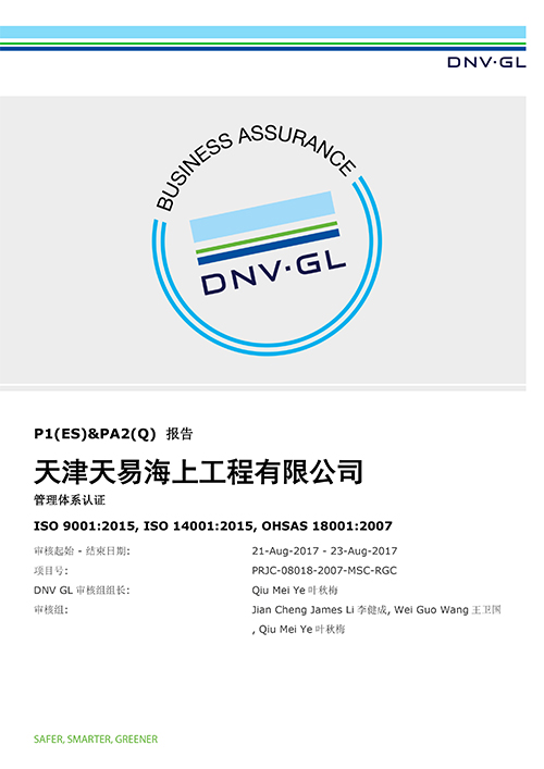 2020年DNV外部審核