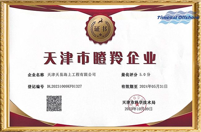 喜報丨羞羞视频免费观看海工榮（róng）獲“天津市創新型中小企業”和“天津市瞪羚企業”雙重認定